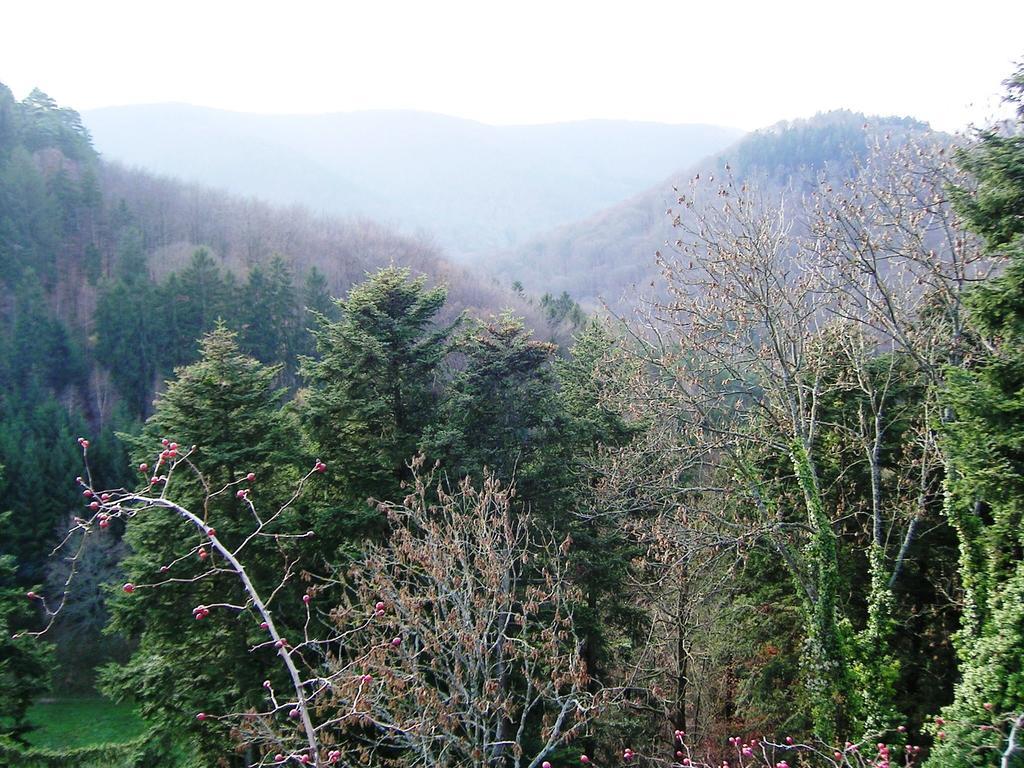 Gite Du Windstein Buitenkant foto